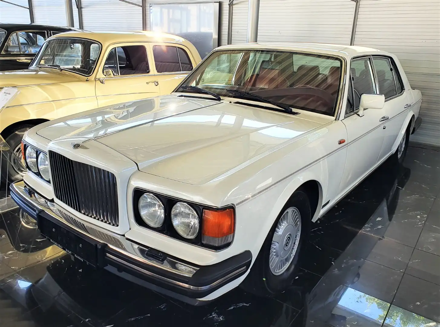Bentley Eight Kat White - 2