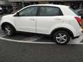 SsangYong Korando Suv 2 wd Bianco - thumbnail 6