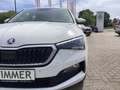 Skoda Scala 1.0 TSI Tour Smart-Link*ACC*SH*ALU* Weiß - thumbnail 6