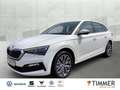 Skoda Scala 1.0 TSI Tour Smart-Link*ACC*SH*ALU* Weiß - thumbnail 1