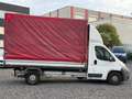 Fiat Ducato 120 2,3  L4 Pritsche-Plane Weiß - thumbnail 4