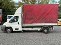 Fiat Ducato 120 2,3  L4 Pritsche-Plane Weiß - thumbnail 8