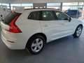 Volvo XC60 B4 Core FWD Aut. Wit - thumbnail 6