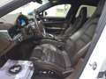 Porsche Panamera 4 e-Hybrid Blanco - thumbnail 20