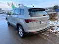 Skoda Karoq Selection TSI Grau - thumbnail 4