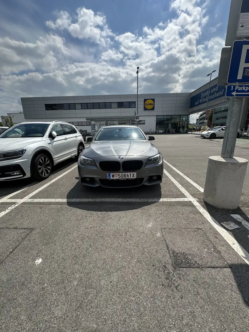 BMW 520 520d Fleet Österreich-Paket Aut. - 1