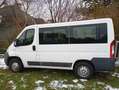 Fiat Ducato Ducato Panorama 30 L1H1 130 Multijet Panorama Weiß - thumbnail 3
