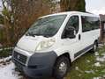 Fiat Ducato Ducato Panorama 30 L1H1 130 Multijet Panorama Weiß - thumbnail 2
