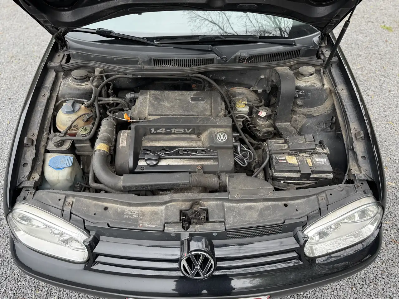 Volkswagen Golf 1.4i Trendline, foto 9