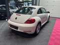 Volkswagen Coccinelle Vintage Blanc - thumbnail 4