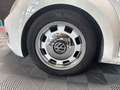 Volkswagen Coccinelle Vintage Blanc - thumbnail 9