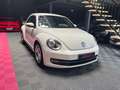 Volkswagen Coccinelle Vintage Blanc - thumbnail 7