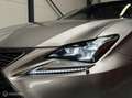 Lexus RC 300h F SPORT Schuifdak|ML-Audio|LED|19"|NL-Auto! Grau - thumbnail 24