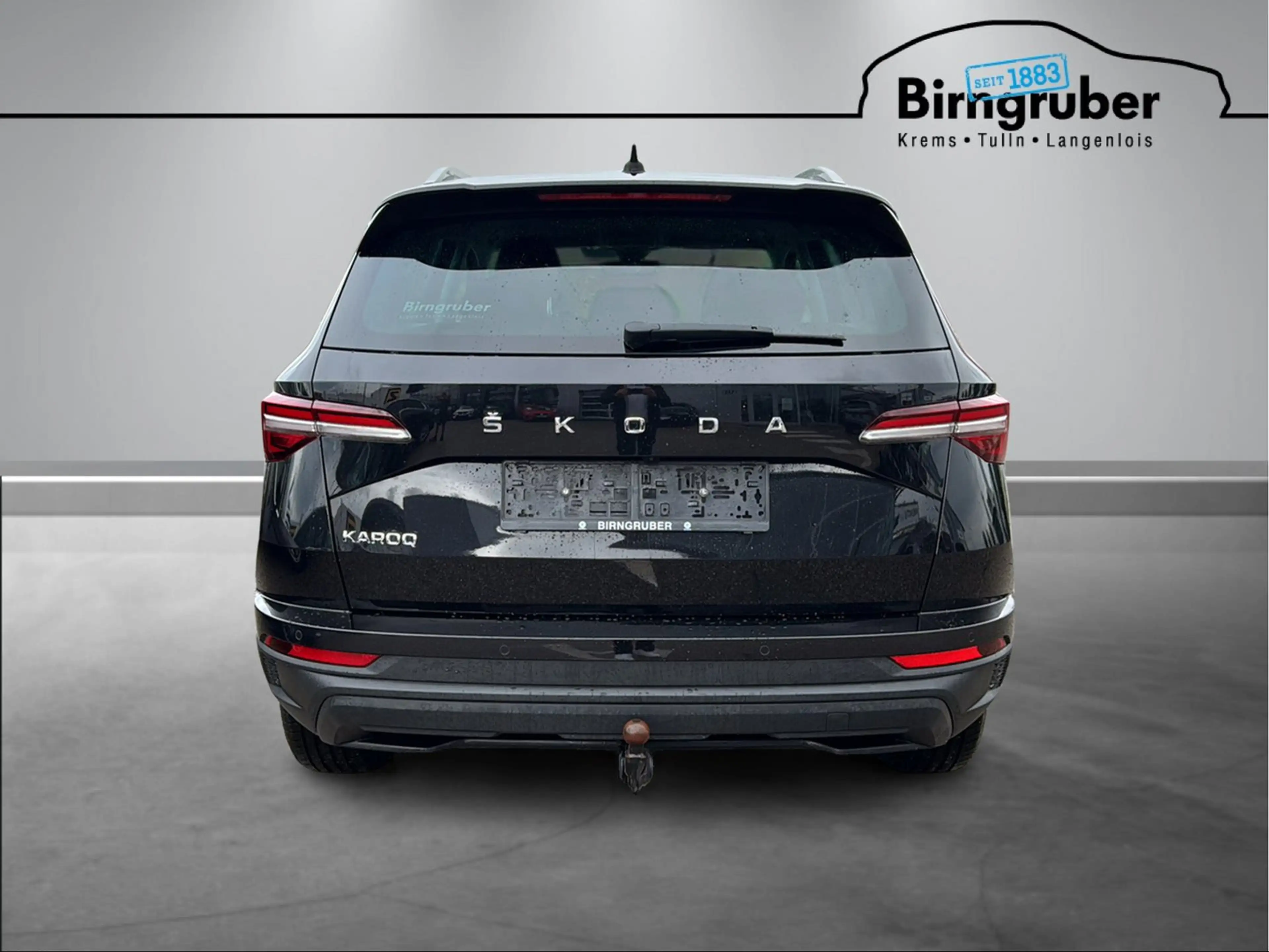 Skoda Karoq Style TDI DSG — photo 5