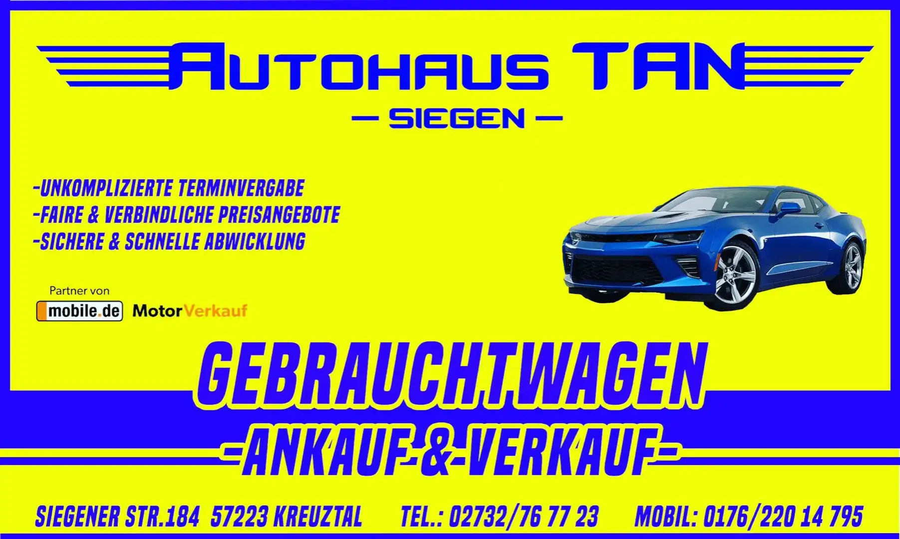 Dacia Dokker Stepway*Kamera Blau - 1