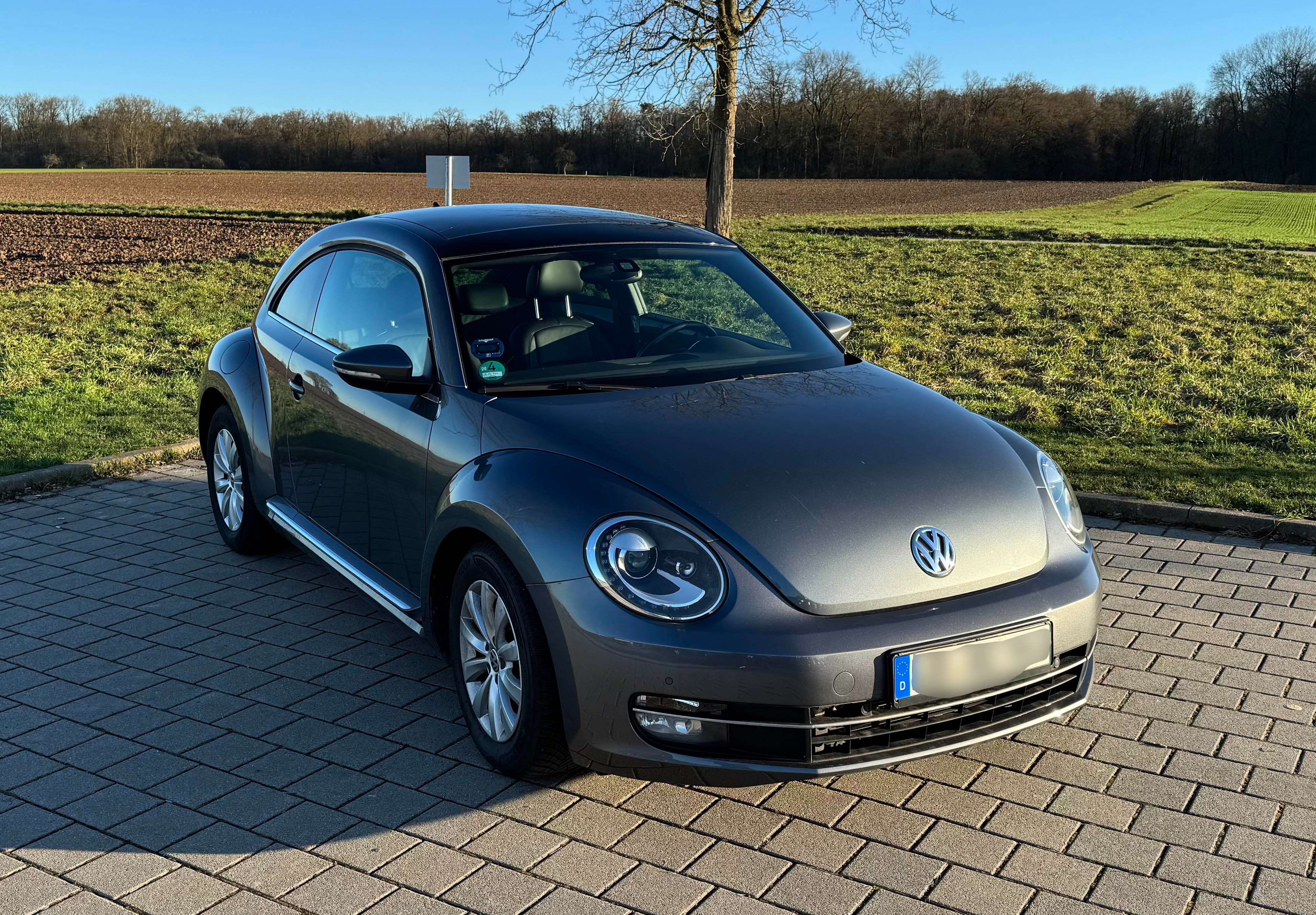 Second hand Volkswagen Beetle 1.6