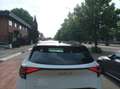 Kia Sportage Sportage V 2022 1.6 tgdi mhev Special Edition dct Bianco - thumbnail 1