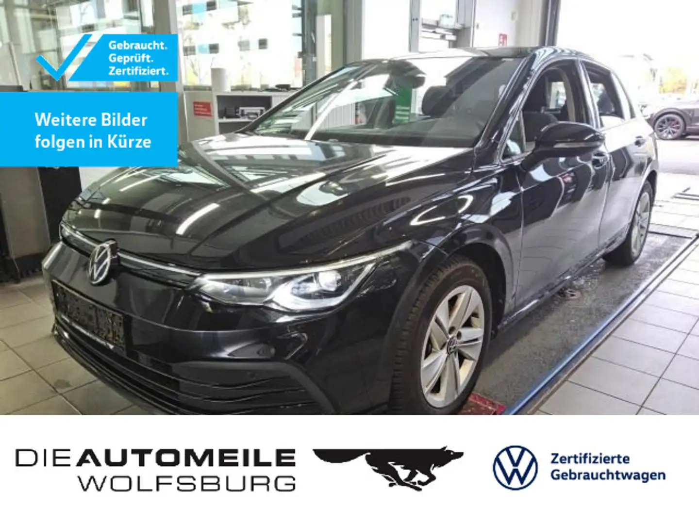 Volkswagen Golf 8 VIII 1.0 eTSI DSG Life ACC/Rückkam/Multil Schwarz - 1
