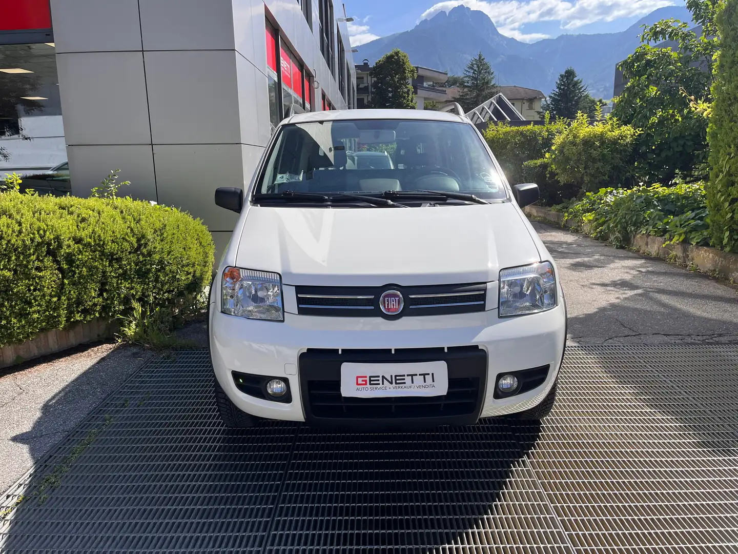 Fiat Panda 4x4 Climbing 1.2 Bianco - 2