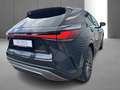 Lexus RX 350 Privilege Line Negru - thumbnail 10