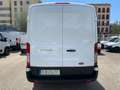 Ford Transit FT 350 L2 Van Ambiente 130 Blanco - thumbnail 5