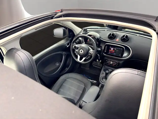 Smart Forfour view 12