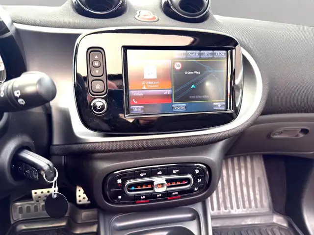 Smart Forfour view 15