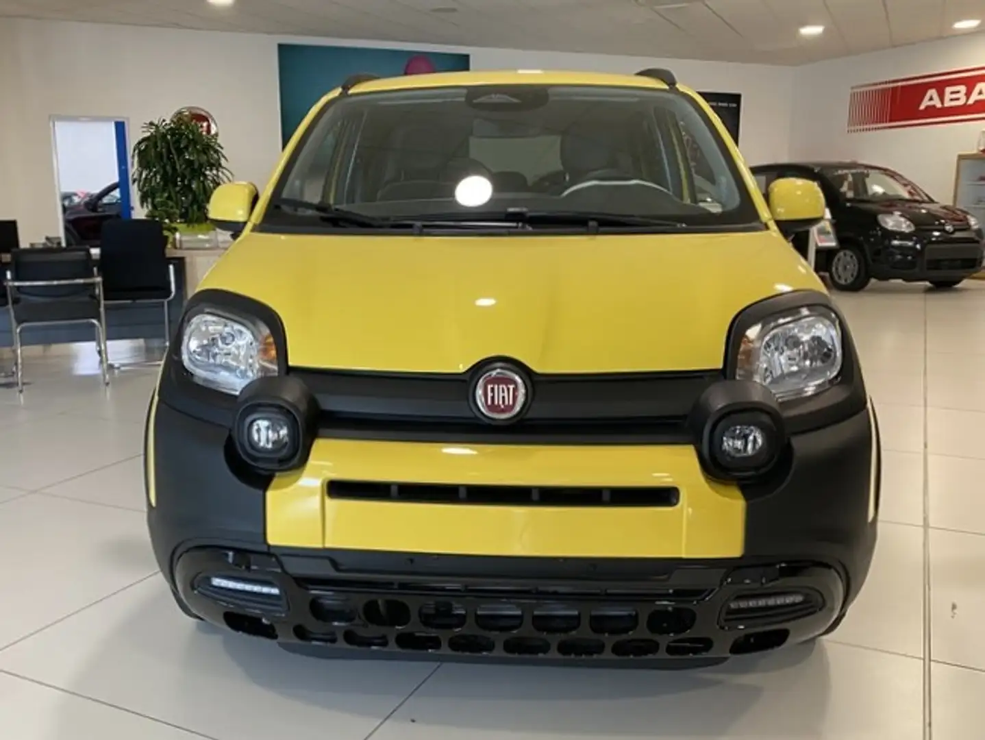 Fiat Panda My25 1.0 70cv Hybrid Pandina Jaune - 2