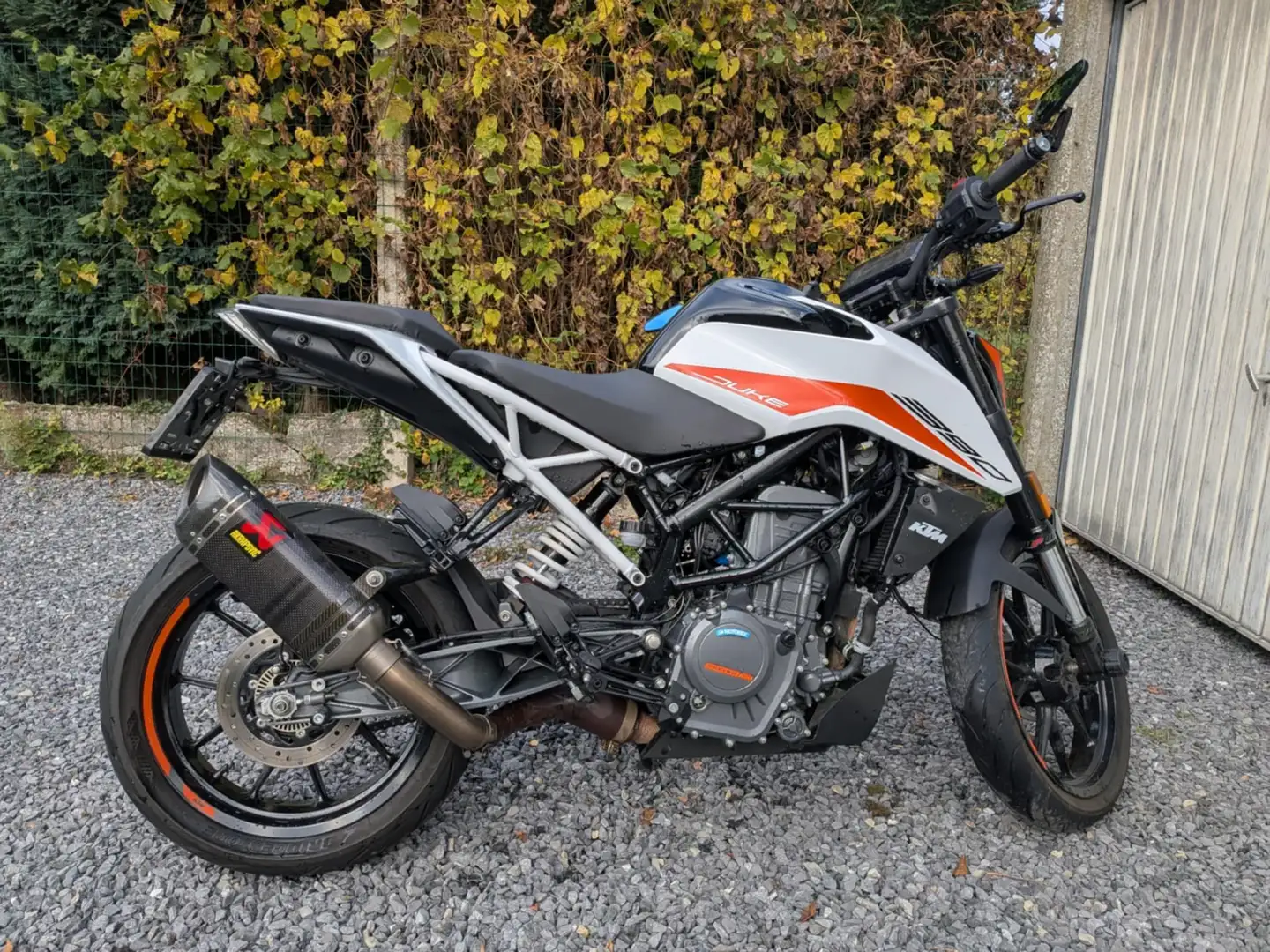 KTM 390 Duke Quickshifter + Akrapovic Blanc - 1
