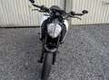 KTM 390 Duke Quickshifter + Akrapovic Blanc - thumbnail 3
