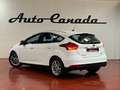 Ford Focus 1.0 Ecoboost Auto-St.-St. 92kW Business Bianco - thumbnail 7