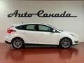 Ford Focus 1.0 Ecoboost Auto-St.-St. 92kW Business Bianco - thumbnail 4