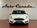 Ford Focus 1.0 Ecoboost Auto-St.-St. 92kW Business Bianco - thumbnail 2