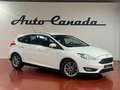 Ford Focus 1.0 Ecoboost Auto-St.-St. 92kW Business Bianco - thumbnail 3