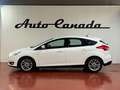 Ford Focus 1.0 Ecoboost Auto-St.-St. 92kW Business Bianco - thumbnail 8