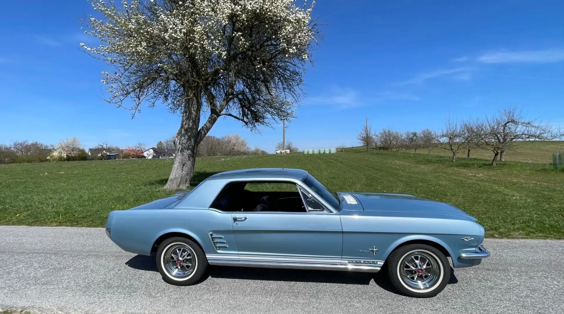 Ford Mustang Original V8, Automatik Blu/Azzurro - 1