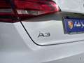 Audi A3 SPB 1.6 TDI clean diesel quattro edition Bianco - thumbnail 3