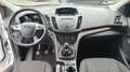 Ford Kuga Trend, AHK, TÜV+Service NEU Weiß - thumbnail 12