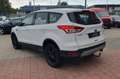Ford Kuga Trend, AHK, TÜV+Service NEU Weiß - thumbnail 3