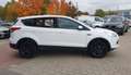 Ford Kuga Trend, AHK, TÜV+Service NEU Weiß - thumbnail 6
