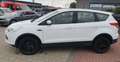 Ford Kuga Trend, AHK, TÜV+Service NEU Weiß - thumbnail 2