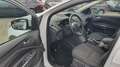 Ford Kuga Trend, AHK, TÜV+Service NEU Weiß - thumbnail 9
