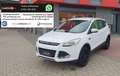 Ford Kuga Trend, AHK, TÜV+Service NEU Weiß - thumbnail 1