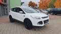 Ford Kuga Trend, AHK, TÜV+Service NEU Weiß - thumbnail 7