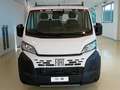 Fiat Ducato Fiat Ducato cab. sing. 35Q LH1 140CV cassone fiss Bianco - thumbnail 3