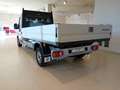 Fiat Ducato Fiat Ducato cab. sing. 35Q LH1 140CV cassone fiss Bianco - thumbnail 7