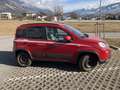 Fiat Panda Panda 4x4 1,3 Multijet II 75 Rot - thumbnail 2