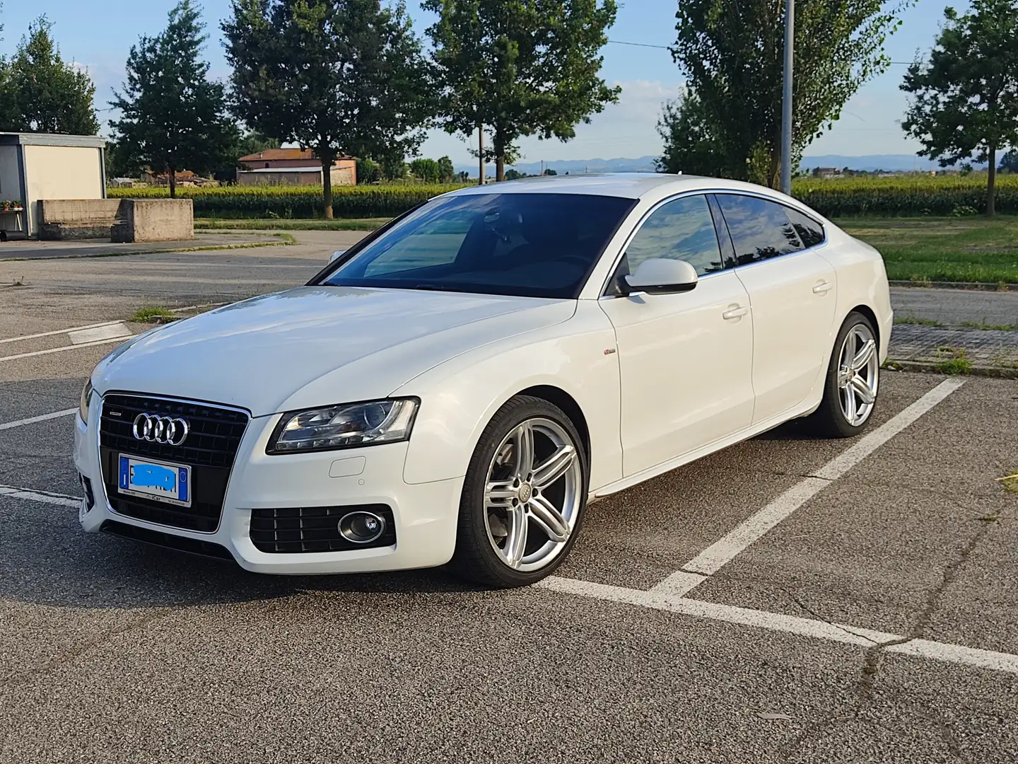Audi A5 A5 Sportback 3.0 V6 tdi quattro S-tronic S-line Bianco - 1