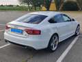 Audi A5 A5 Sportback 3.0 V6 tdi quattro S-tronic S-line Bianco - thumbnail 3
