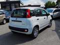 Fiat New Panda 1.0 FireFly S&S Hybrid 70CV Bianco - thumbnail 2